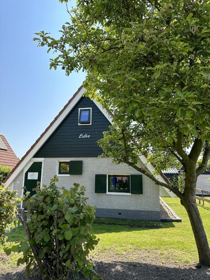 Lieke Lauwersmeer Met Sauna Holiday home Anjum