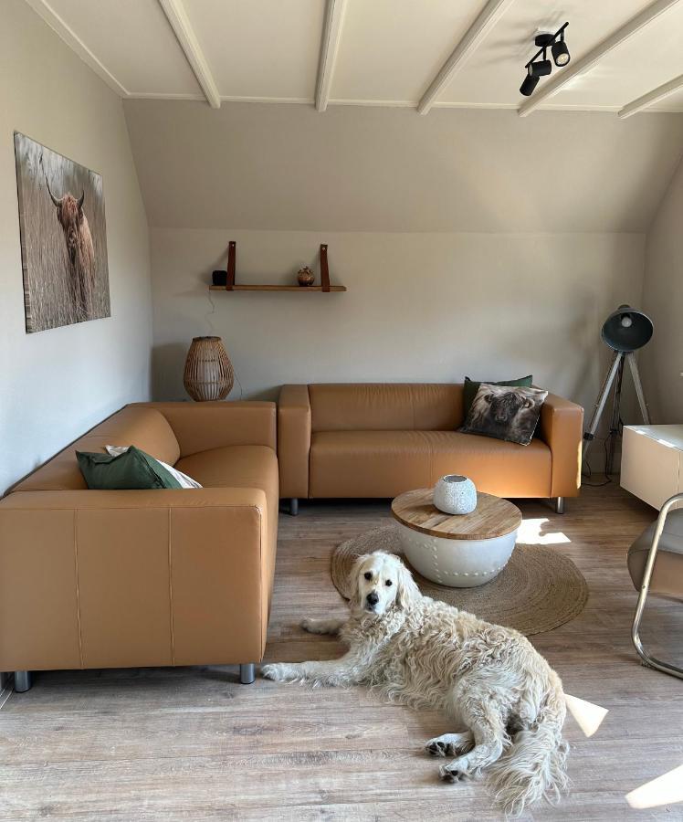 Holiday home Lieke Lauwersmeer Met Sauna Anjum