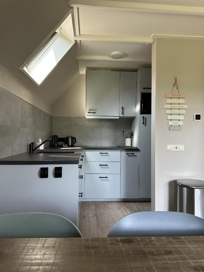 Lieke Lauwersmeer Met Sauna Holiday home